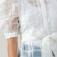 A See-thru Mini Length Organza Top