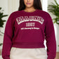 Plus Size Graphic Drop Shoulder Sweatshirt
