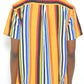 Mens Striped Button Down Shirt Print